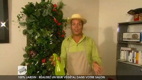 Construire un mur végétal d\'intérieur - Minutefacile.com Construire un mur végétal d\'intérieur - Minutefacile.com