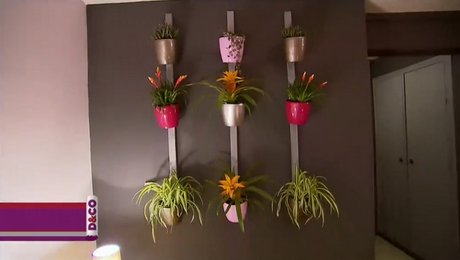 Construire un mur végétal d\'intérieur - Minutefacile.com Construire un mur végétal d\'intérieur - Minutefacile.com