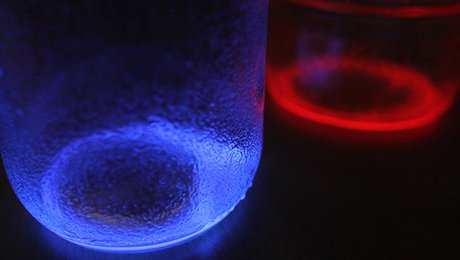 bocal du tech rencontre