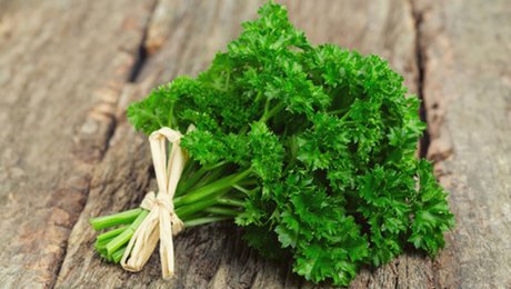 Les meilleures plantes pour perdre du poids  Minutefacile.com