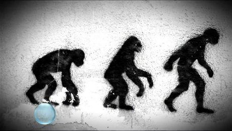Origine De L Homme Et Evolution De L Espece Humaine Minutefacile Com