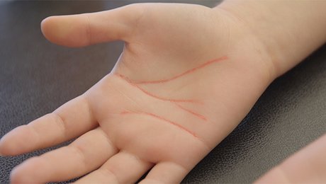 Apprendre A Lire Les Lignes De La Main La Chiromancie Minutefacile Com Apprendre A Lire Les Lignes De La Main La Chiromancie Minutefacile Com