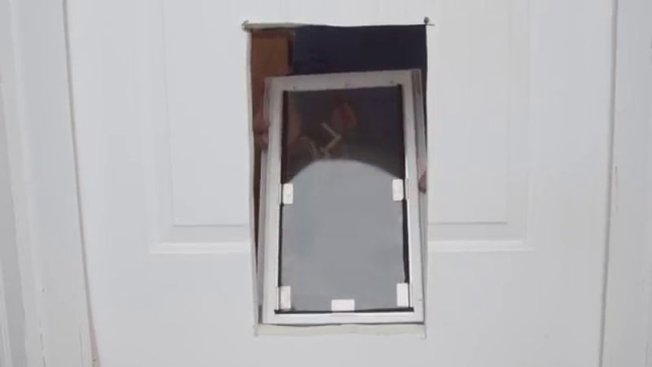 Posez la porte pour chien.