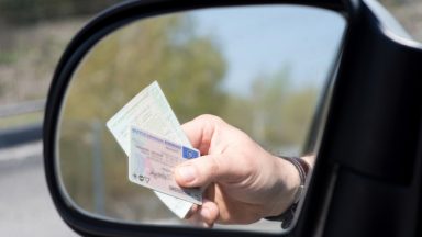 Carte grise