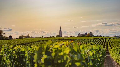 Bordeaux