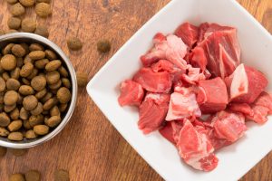 croquettes Hill's pour chien